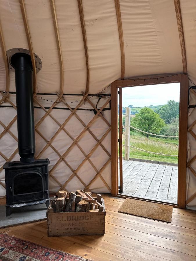 Netherbury Bracken Yurt At Walnut Farm Glamping酒店 外观 照片