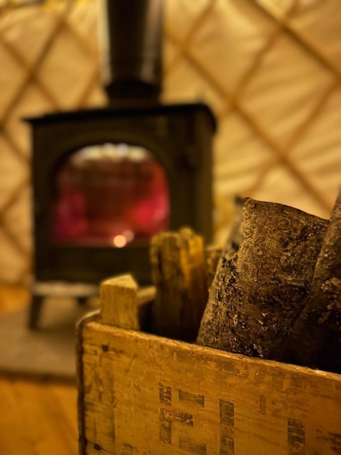 Netherbury Bracken Yurt At Walnut Farm Glamping酒店 外观 照片